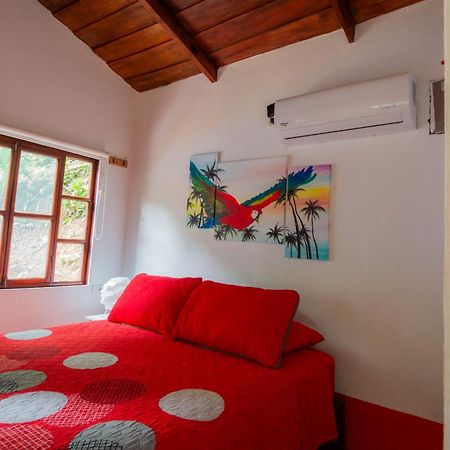 Selva Color - Forest & Beach Ecolodge Quebrada Ganado Δωμάτιο φωτογραφία