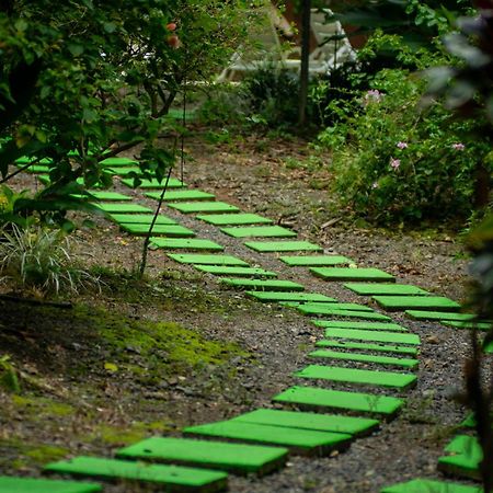 Selva Color - Forest & Beach Ecolodge Quebrada Ganado Εξωτερικό φωτογραφία