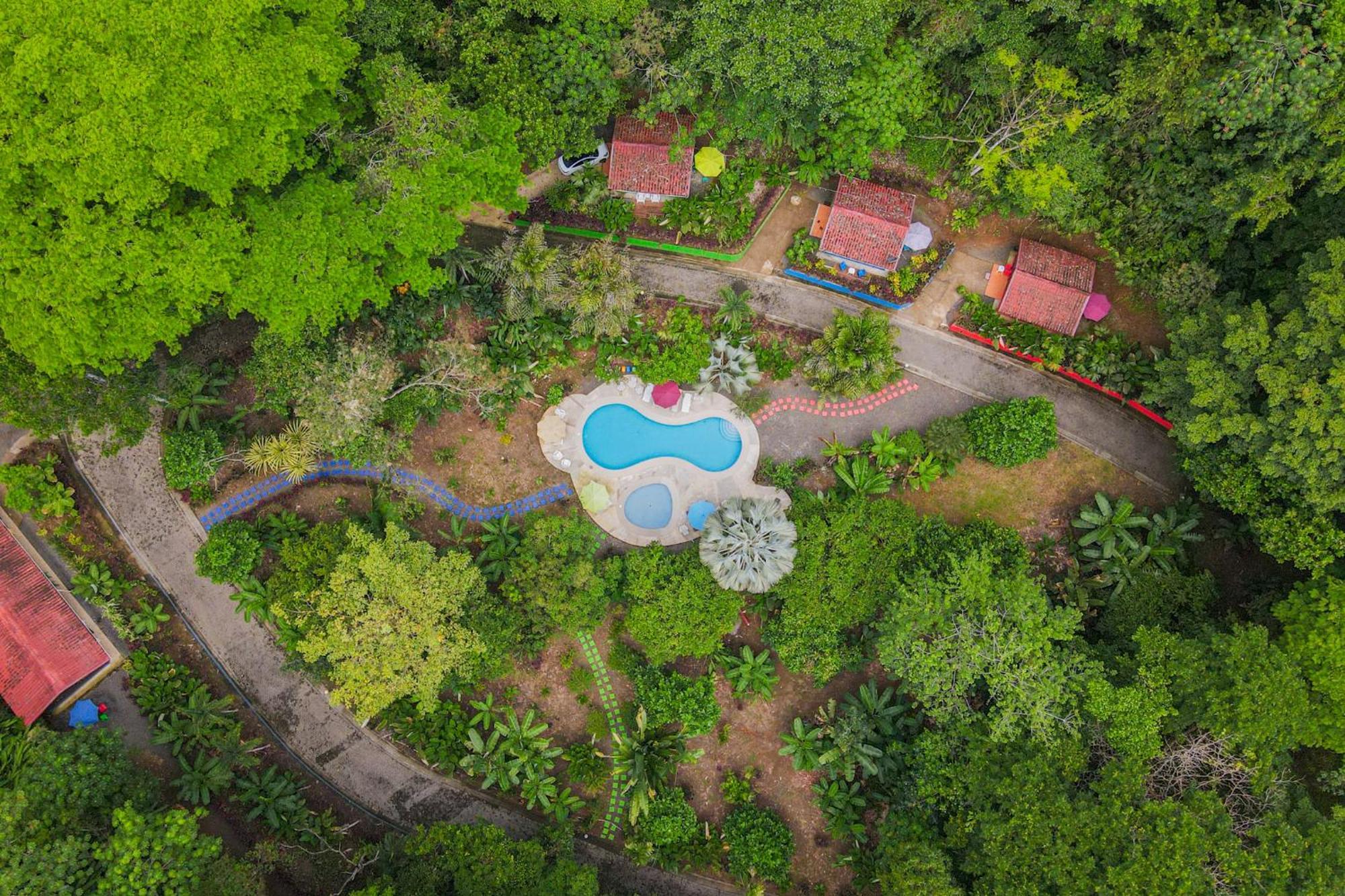 Selva Color - Forest & Beach Ecolodge Quebrada Ganado Εξωτερικό φωτογραφία