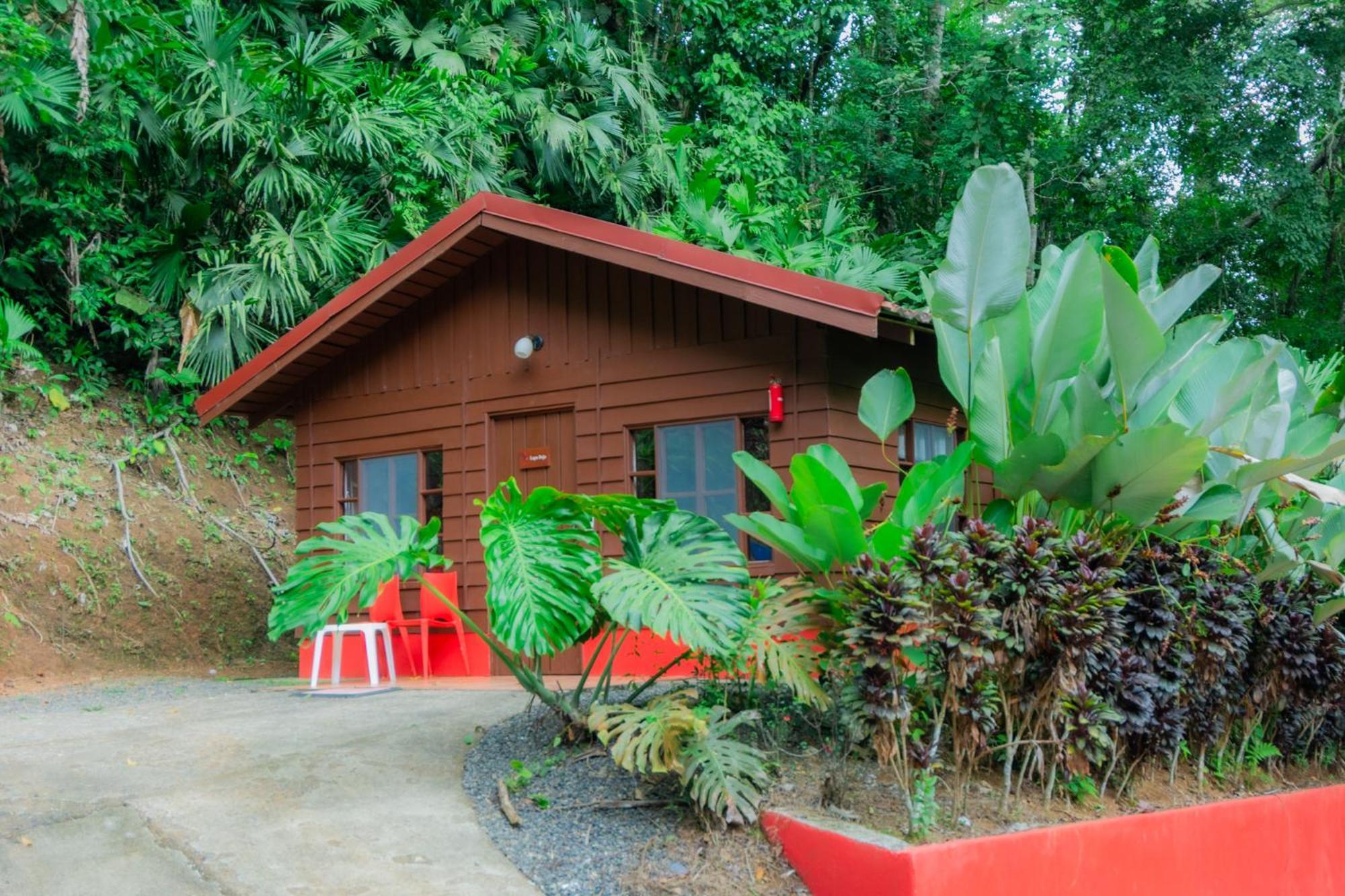 Selva Color - Forest & Beach Ecolodge Quebrada Ganado Εξωτερικό φωτογραφία