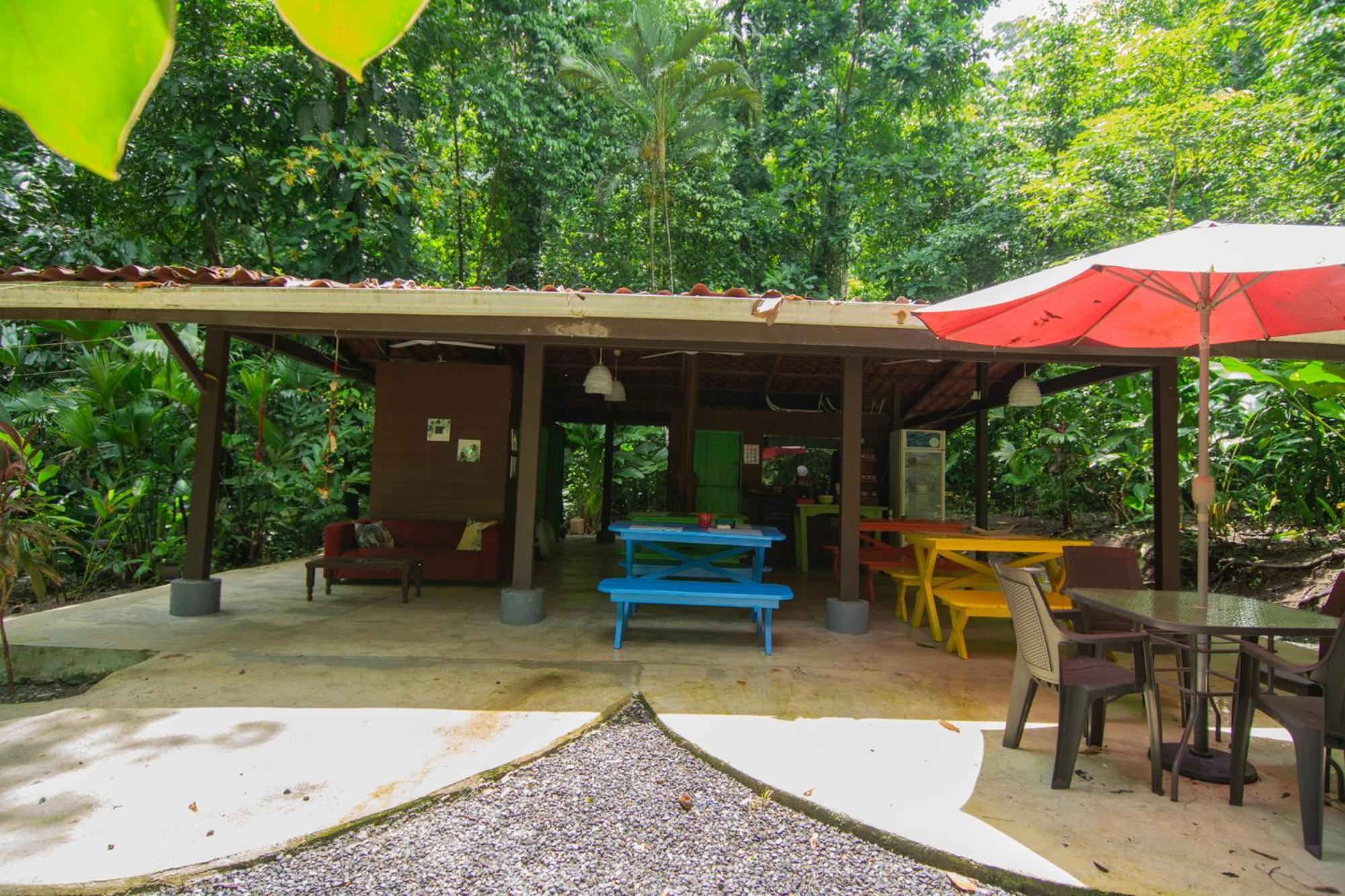 Selva Color - Forest & Beach Ecolodge Quebrada Ganado Εξωτερικό φωτογραφία